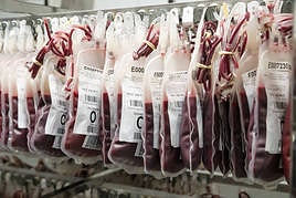 Sangre almacenada en las cámaras frigoríficas del Centro de Transfusión de Alicante.