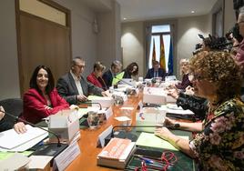 Miembros del Consell durante un pleno celebrado en Alicante