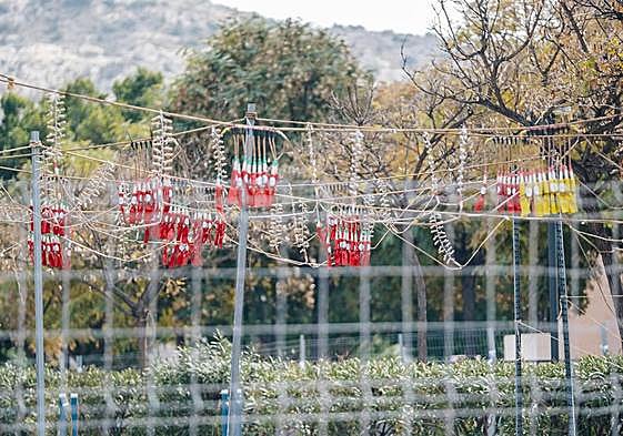 Detalle de la mascletà del 5 de marzo en Pla-Carolinas.