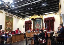 Pleno ordinario de marzo en el Ayuntamiento de Elche.