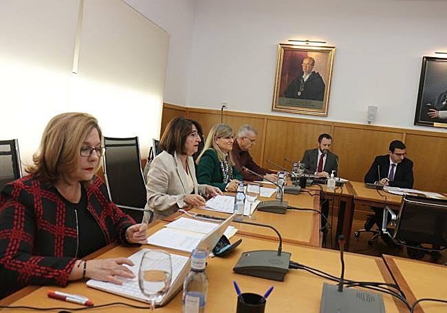 La rectora de la UA durante el Consejo de Gobierno.