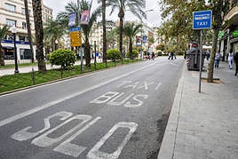 Carril habilitado para taxis en una ciudad de la provincia.