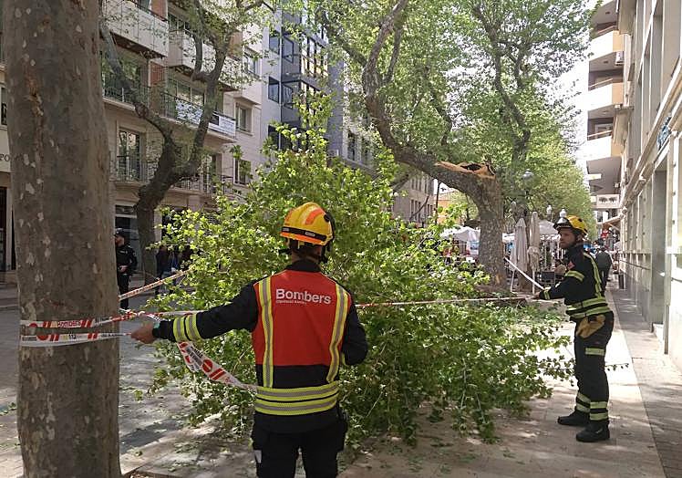 Imagen principal - Efectivos de la Policía Local y los bomberos. 