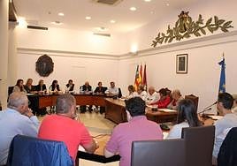 Imagen de un pleno municipal de Dénia.