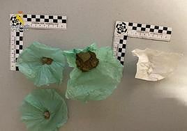 Material intervenido a los dos detenidos por la Guardia Civil