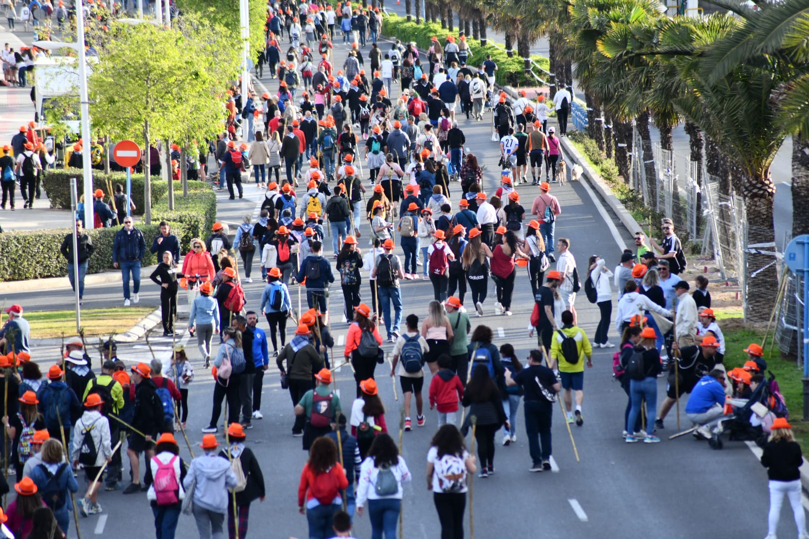 Búscate en las imágenes de la romería de la Santa Faz
