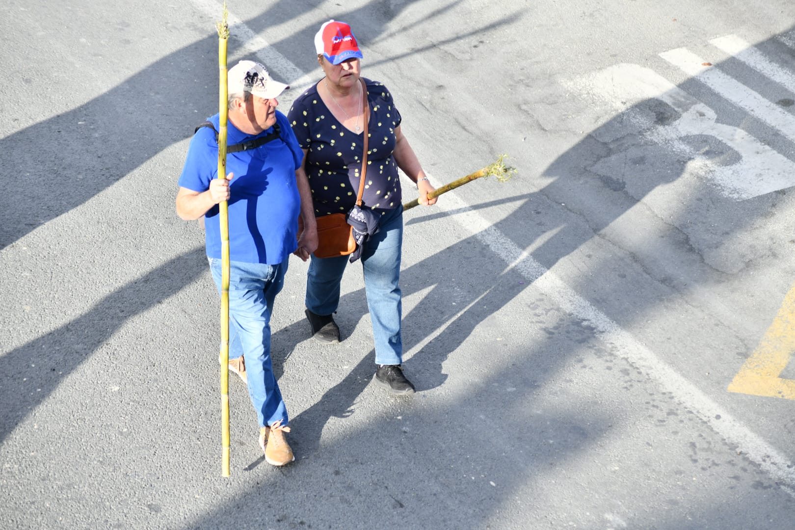 Búscate en las imágenes de la romería de la Santa Faz