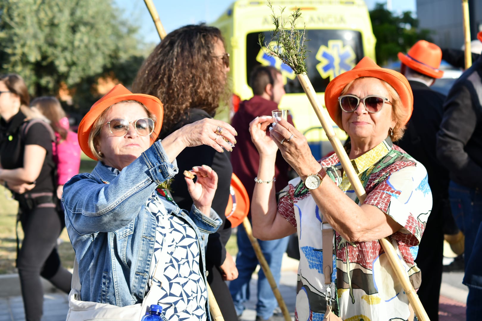 Búscate en las imágenes de la romería de la Santa Faz