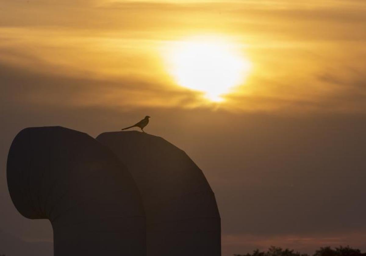 Vista de la puesta de sol.