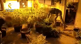 Incautación de la marihuna en el interior de la nave