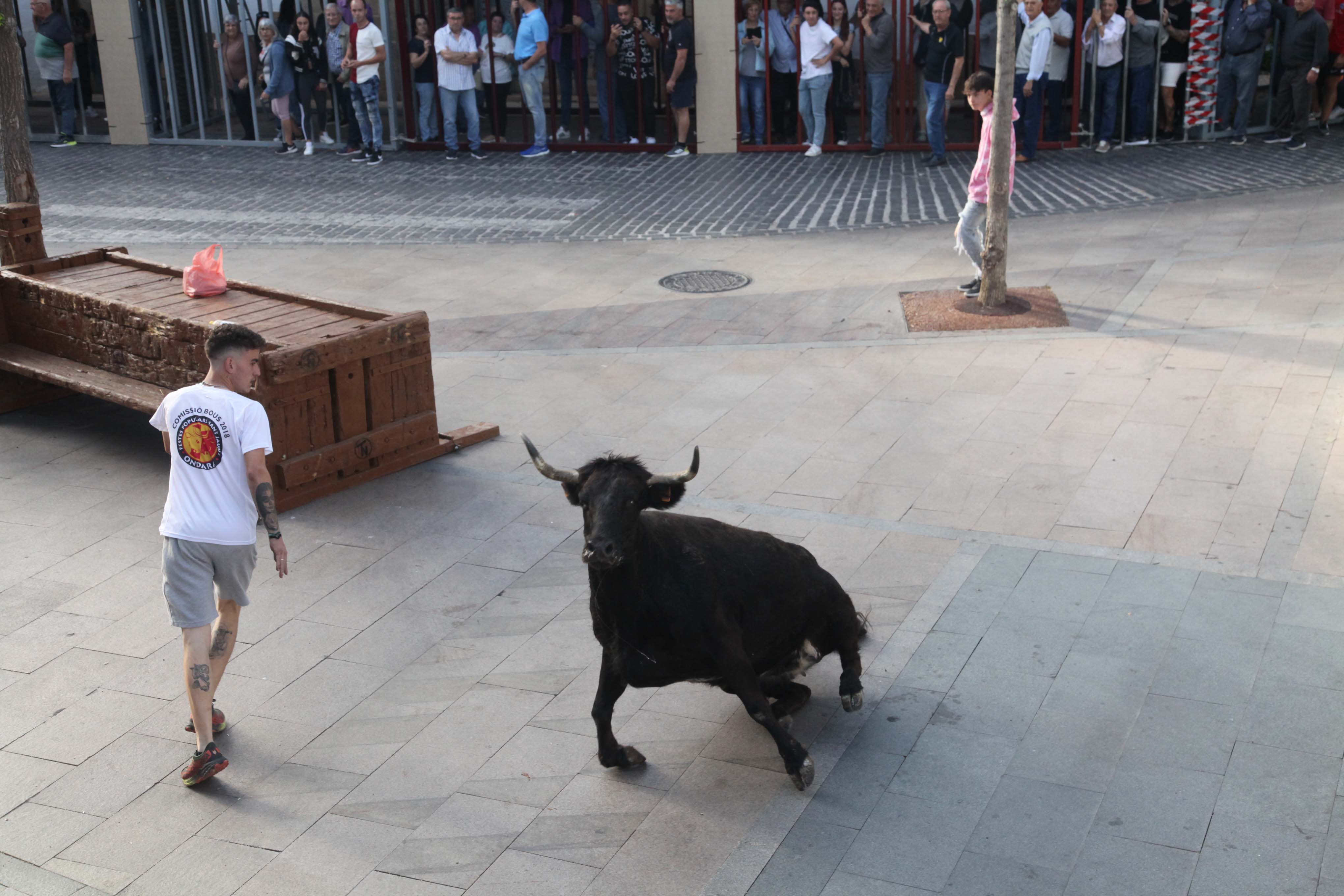 Xàbia celebra sus bous al carrer