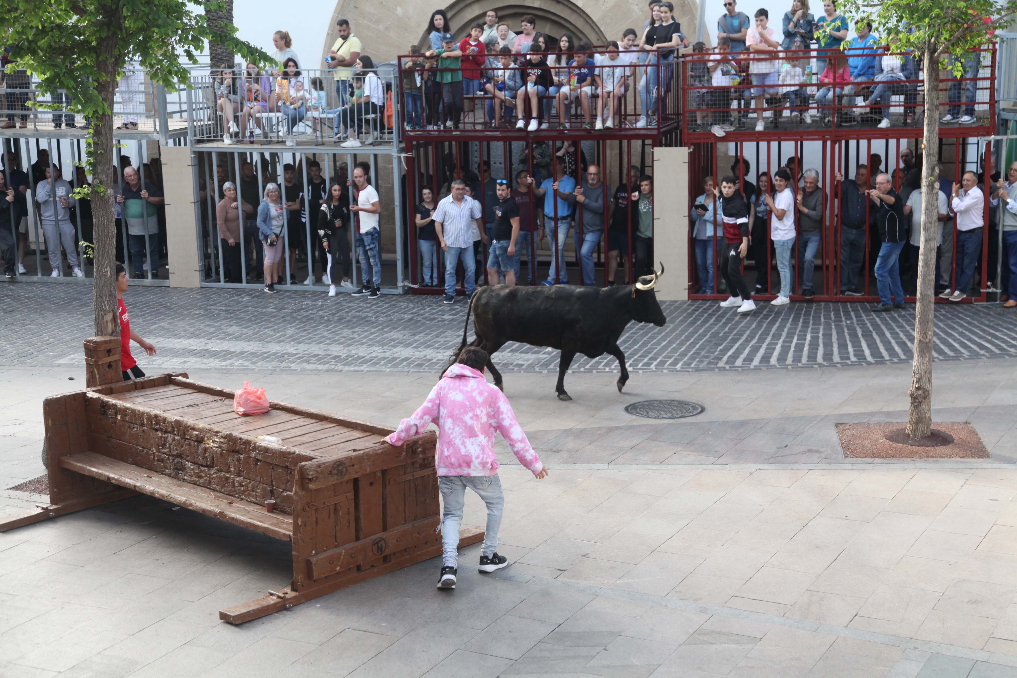 Xàbia celebra sus bous al carrer