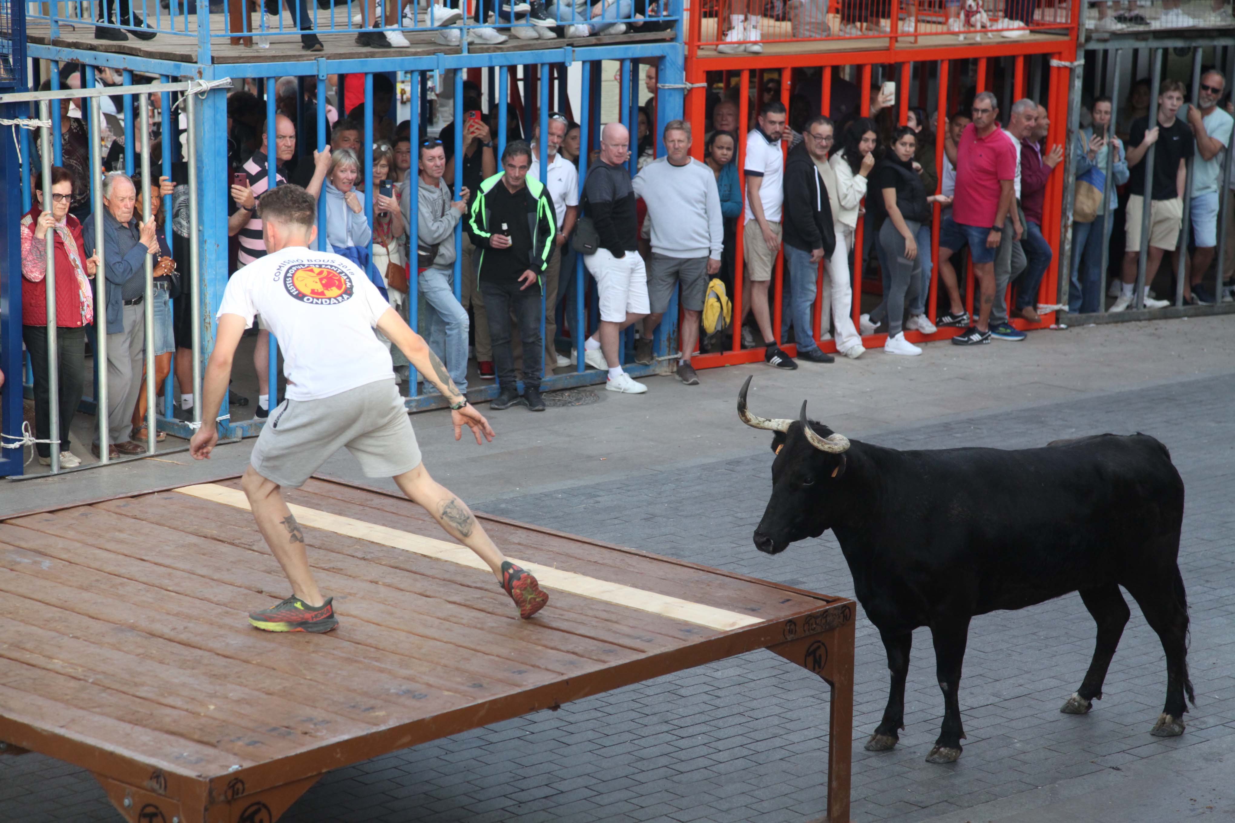 Xàbia celebra sus bous al carrer