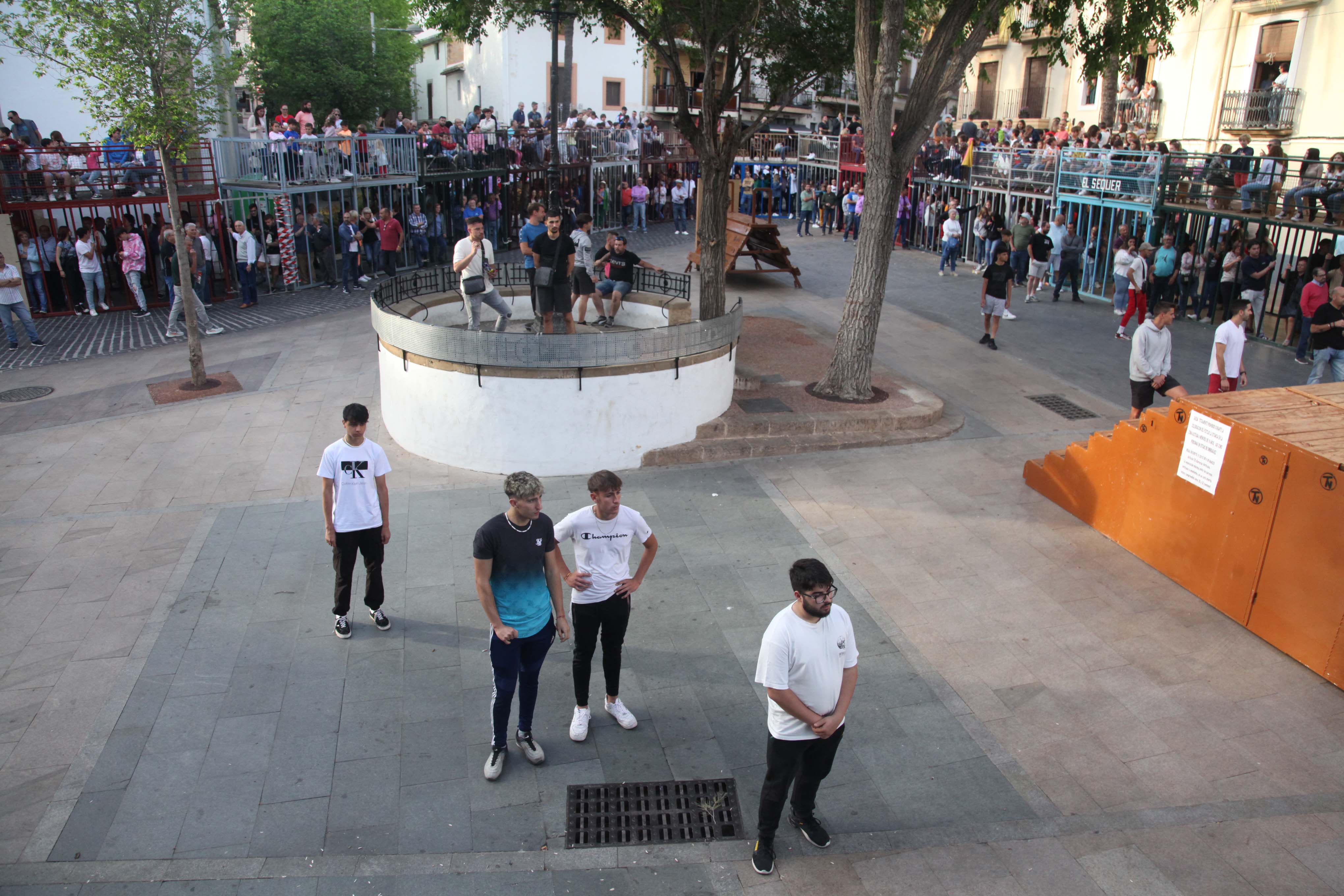 Xàbia celebra sus bous al carrer