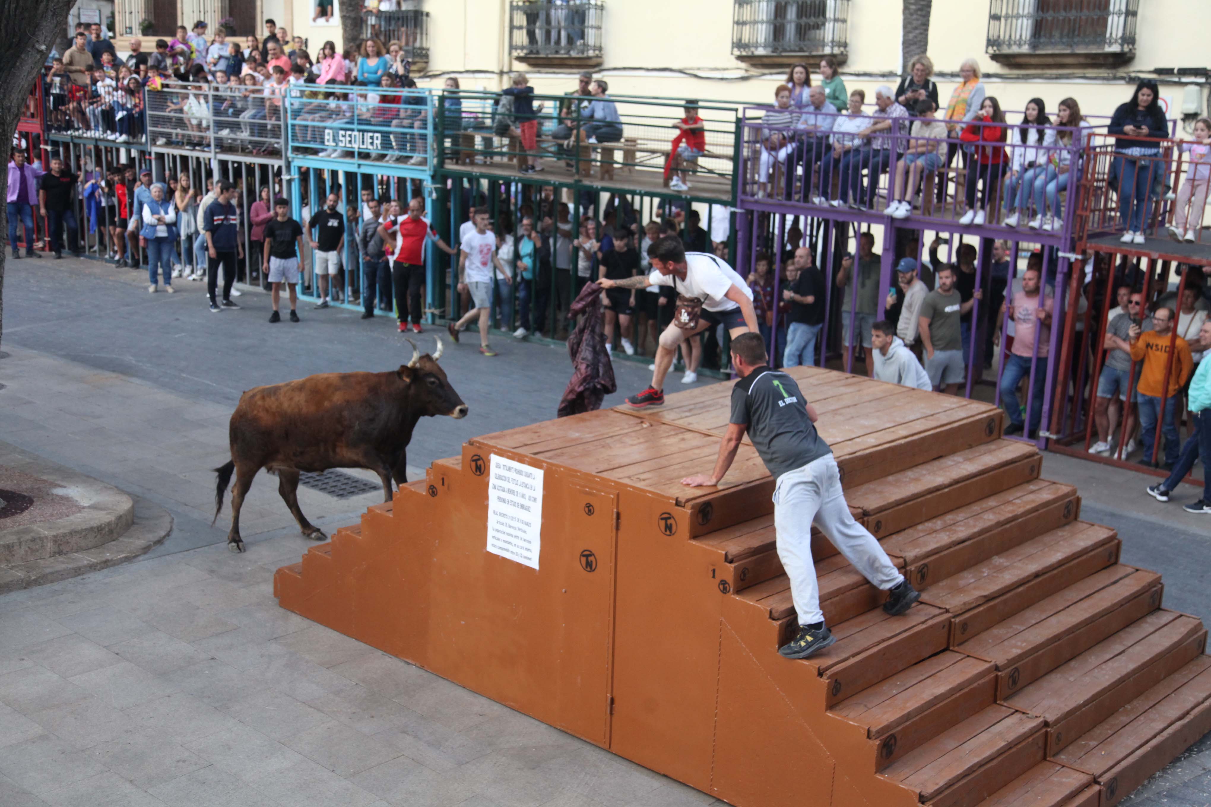 Xàbia celebra sus bous al carrer