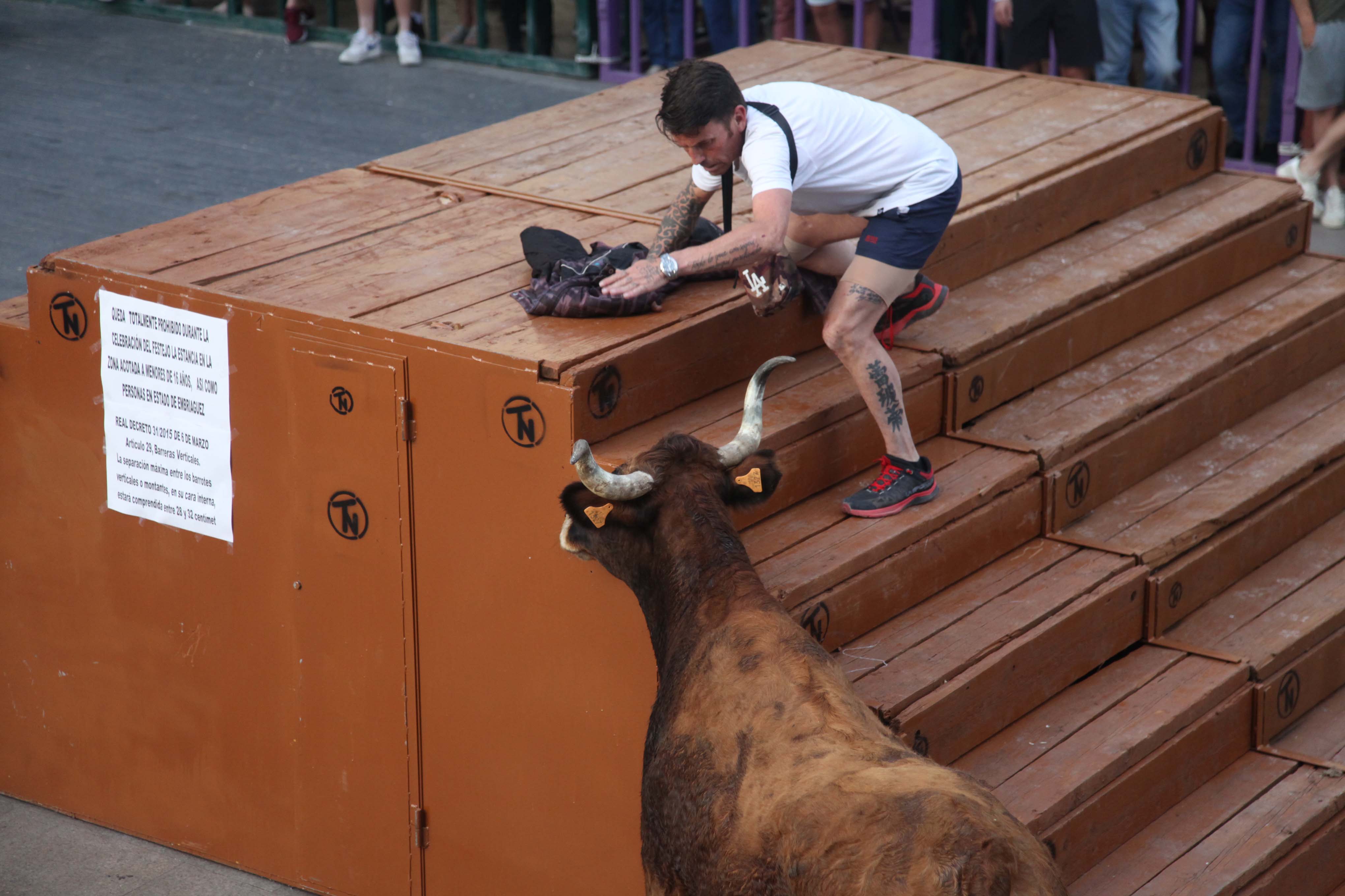 Xàbia celebra sus bous al carrer