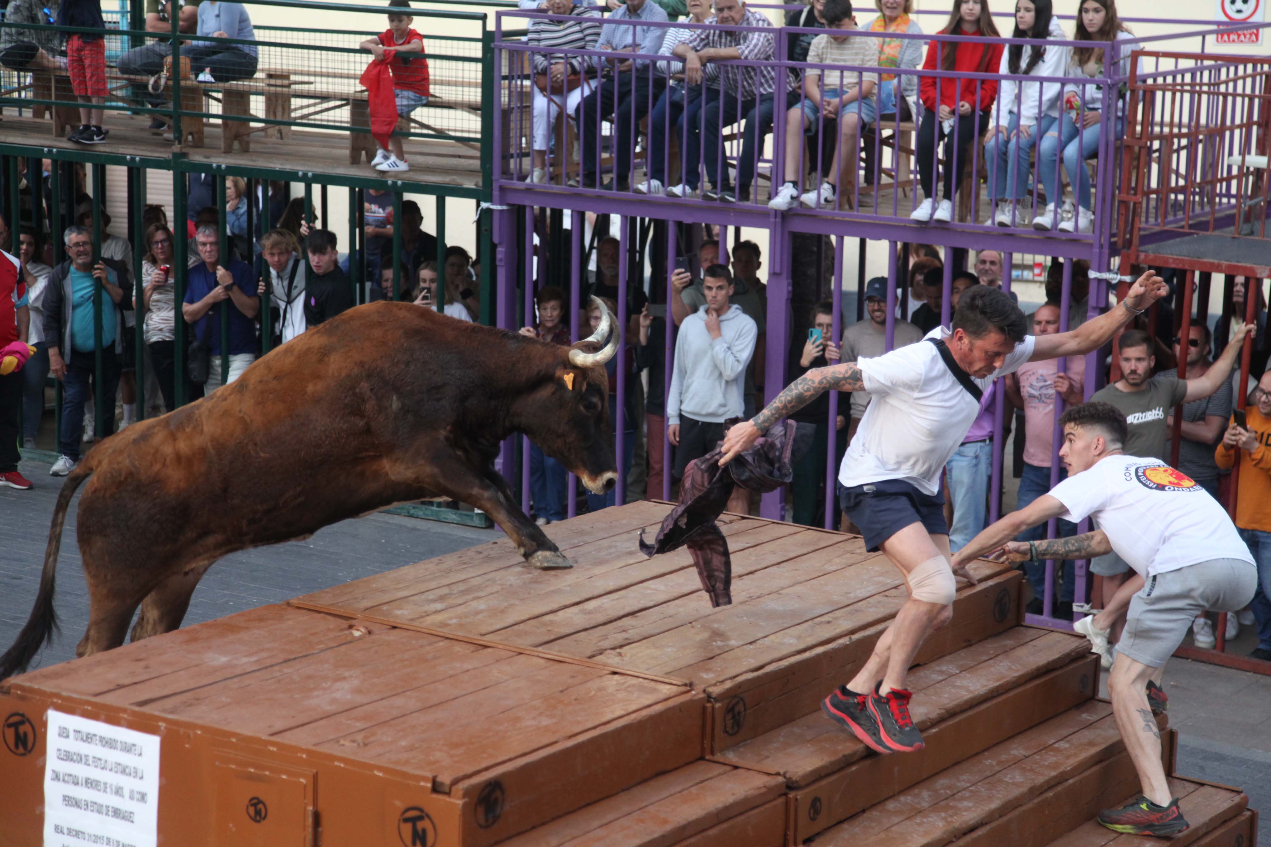 Xàbia celebra sus bous al carrer