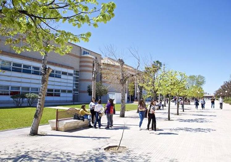 Imagen principal - Campus de la Universidad de Alicante