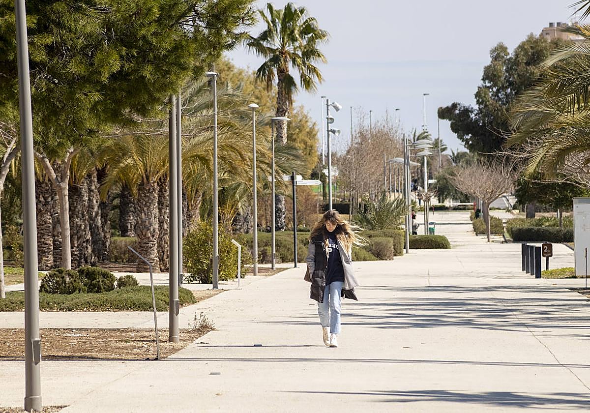 Un estudiante pasea por el campus de la Universidad Miguel Hernández, en Elche
