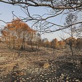 La Diputación incrementa hasta los 1,4 millones de euros las ayudas para la prevención de incendios forestales