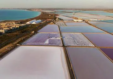 El secreto contra el cáncer que ocultan las salinas de Santa Pola