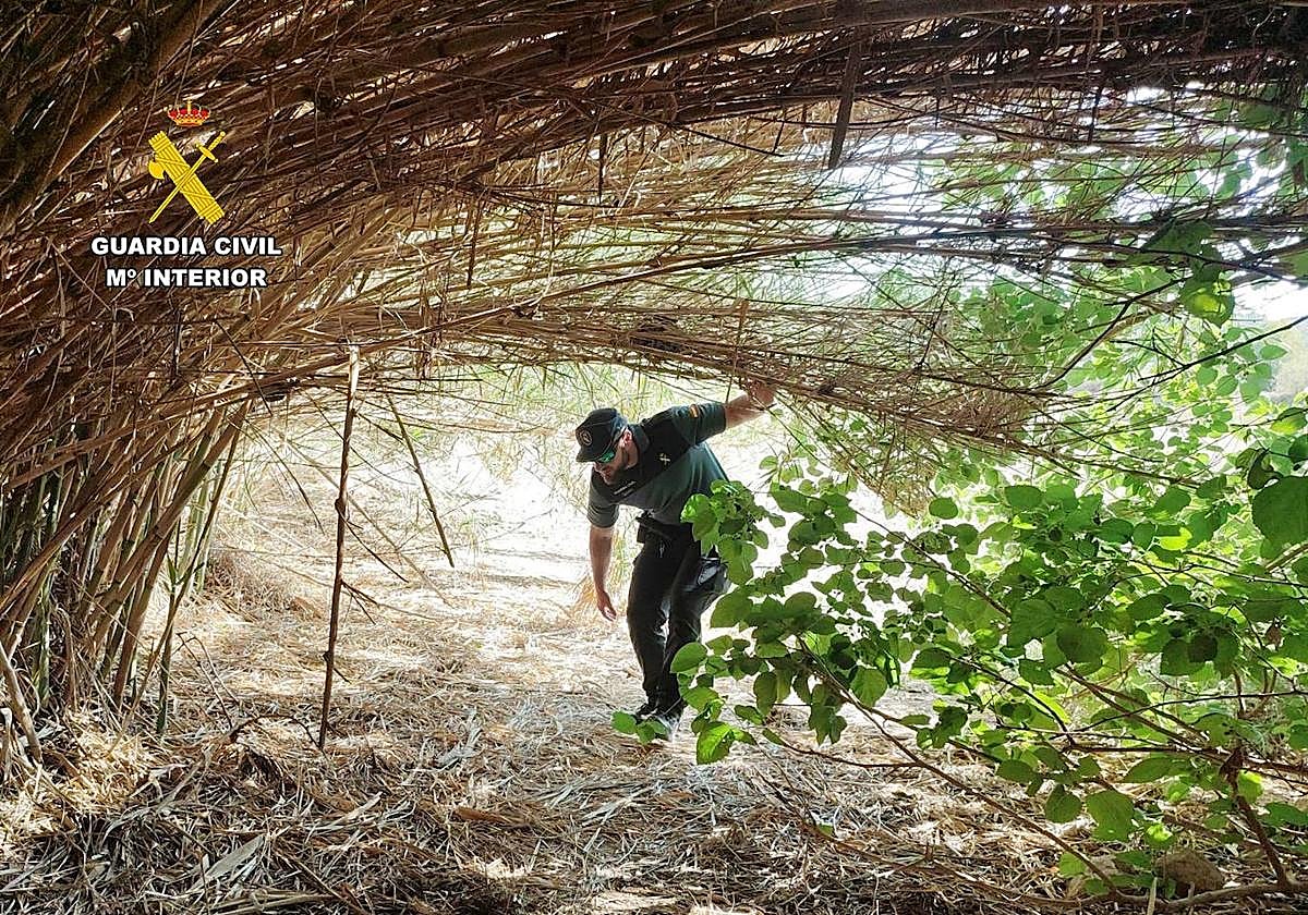 Lugar donde el anciano se perdió