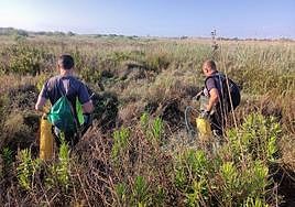 Aplicación de tratamientos anti mosquitos en Agua Amarga.