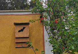 Caja-refugio para la cría de murciélagos.