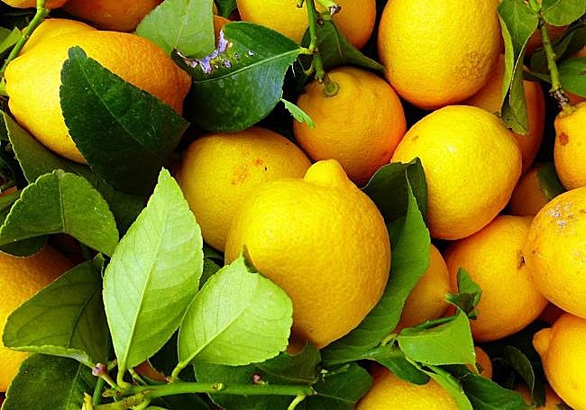 Limones con imperfecciones estéticas