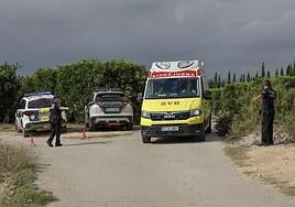 Los servicios de Emergencias de la Generalitat han movilizado un helicóptero medicalizado para trasladar a un centro hospitalario a los heridos.