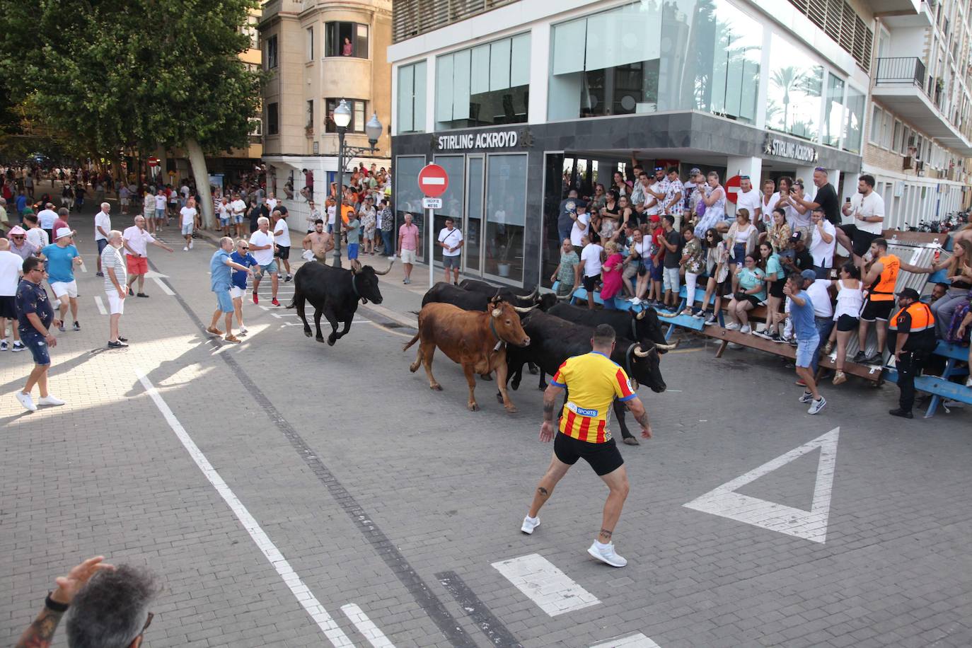 Dénia ya está en fiestas