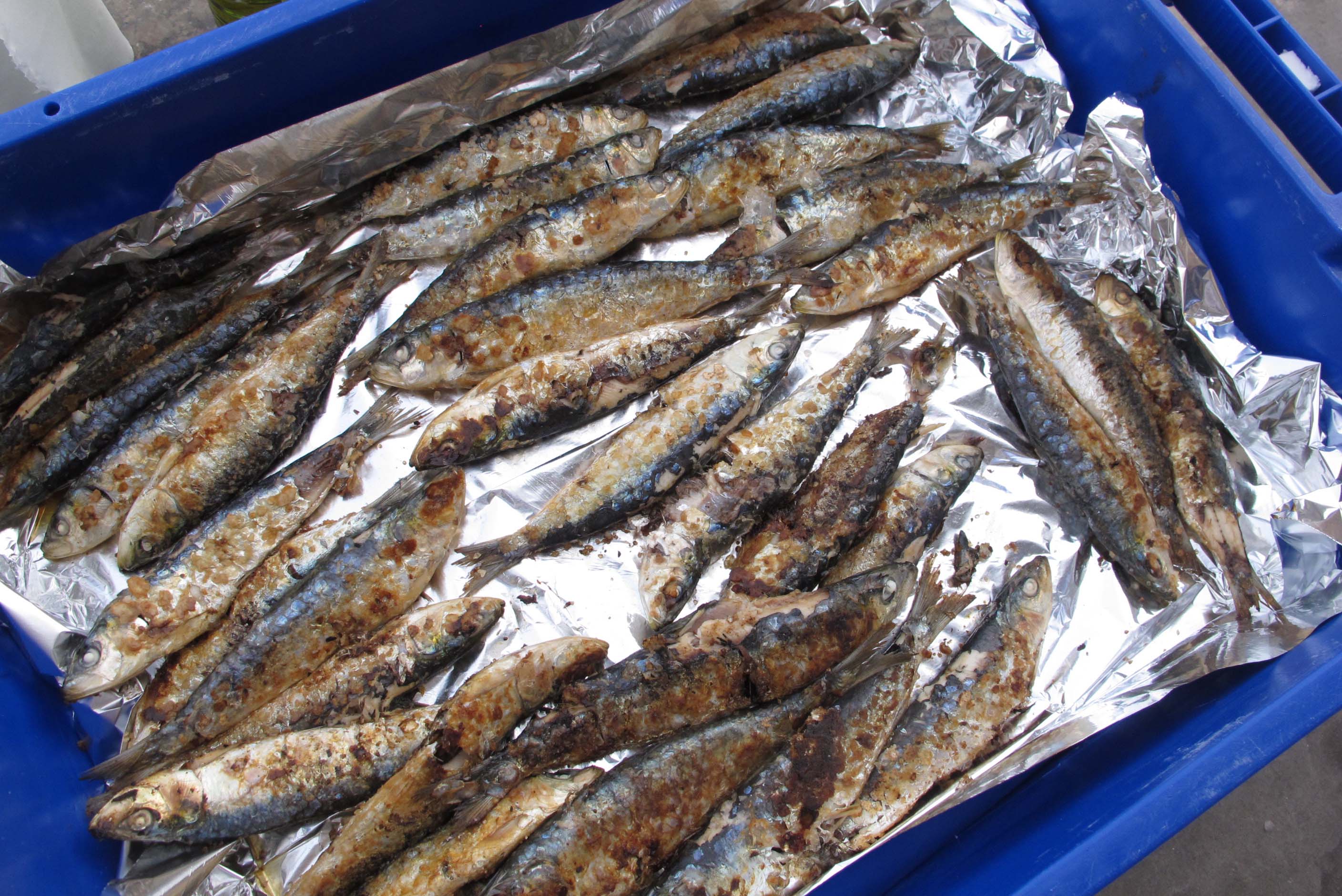 Dénia ya está en fiestas