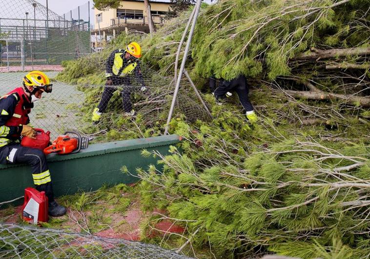 Actuación de los bomberos en el polideportivo de Villena.