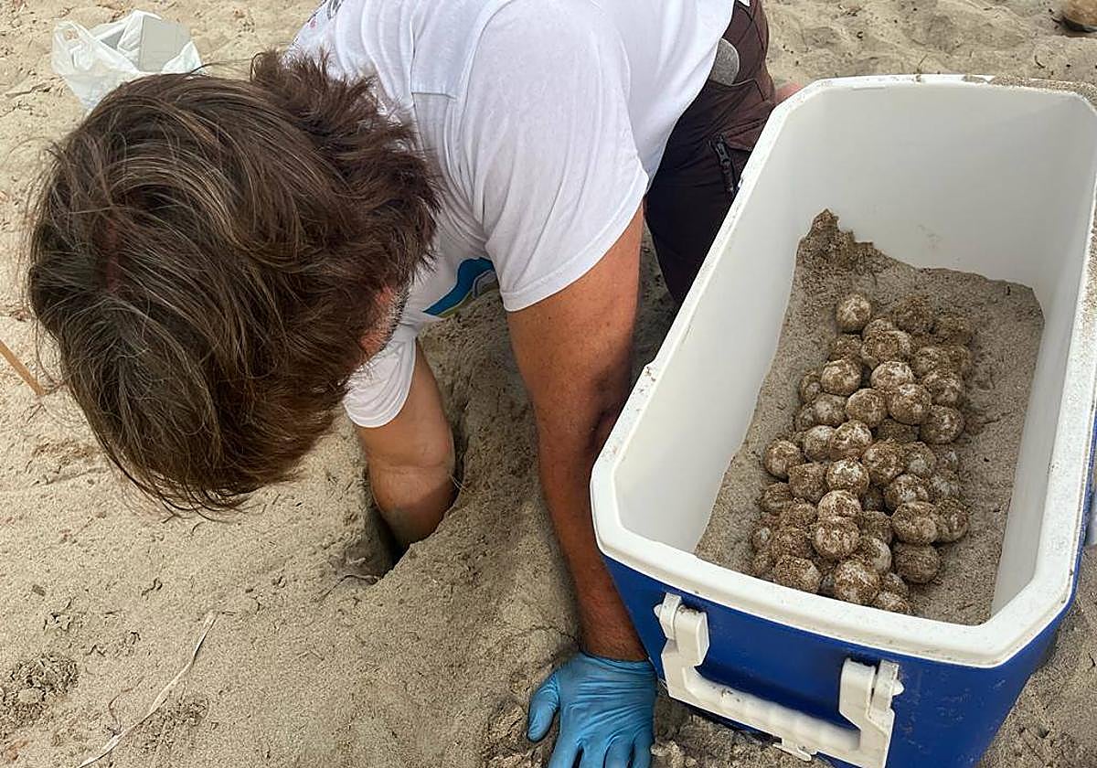El Servicio Ambiental Marino y de Pesca del Ayuntamiento de Denia inició el protocolo