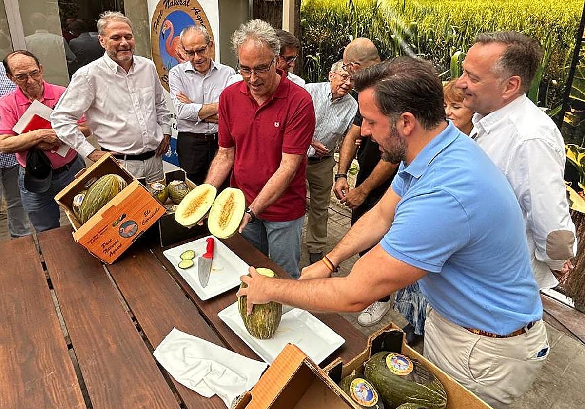Tradicional corte del melón de Carrizales.