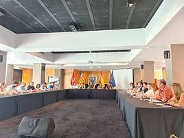 Pleno municipal de Elda.