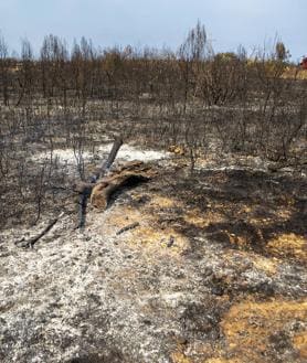 Imagen secundaria 2 - Incendio de 2023 en la Vall d'Ebo