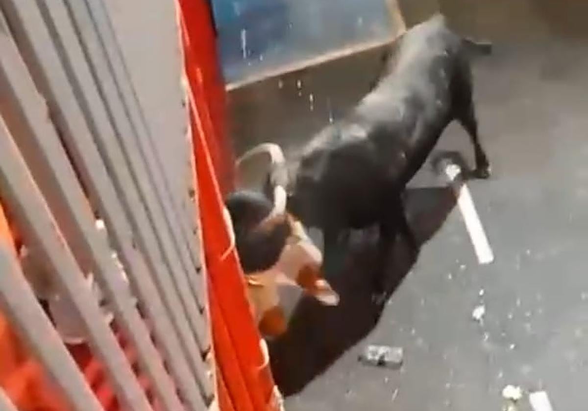 Fuera de peligro el joven que sufrió una terrible cogida en los &#039;bous al carrer&#039; de Calp