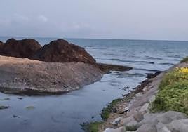 La posidonia tapona la desembocadura del río Girona de Dénia.