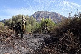 Paraje calcinado en la Marina Alta.