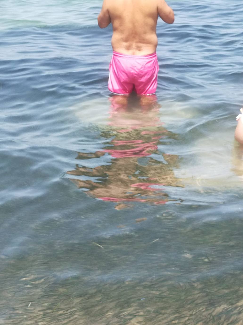 Miles de alevines invaden la playa de Les Marines de Dénia