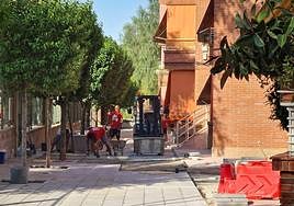 Las obras en la calle Los Naranjos, en el barrio de Almafrá, Elda.