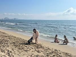 El consistorio alicantino destaca la «gran aceptación» que está teniendo el servicio.