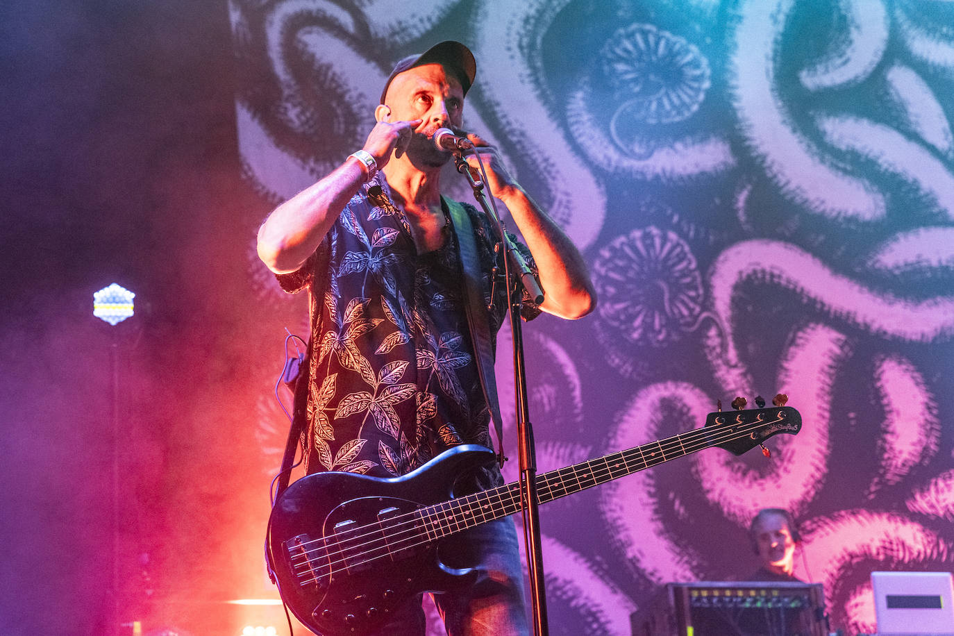 Villena vuelve a vibrar con el festival Rabolagartija