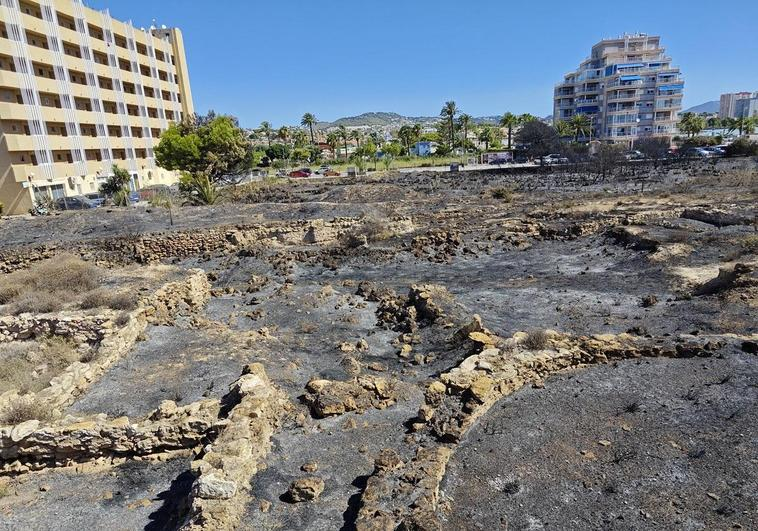 Zona afectada por las llamas.