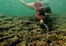 Una nadadora colocando uno de los anuncios comestibles dentro del mar.