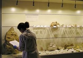 Investigadora en las instalaciones del MUPE.