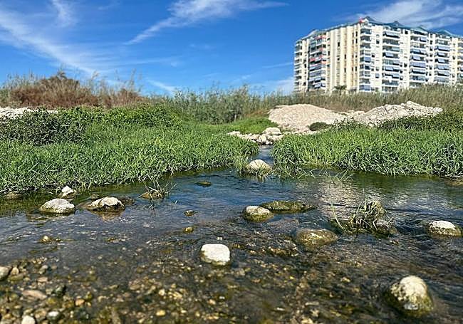 Las piedras de la desembocadura del Río Seco.