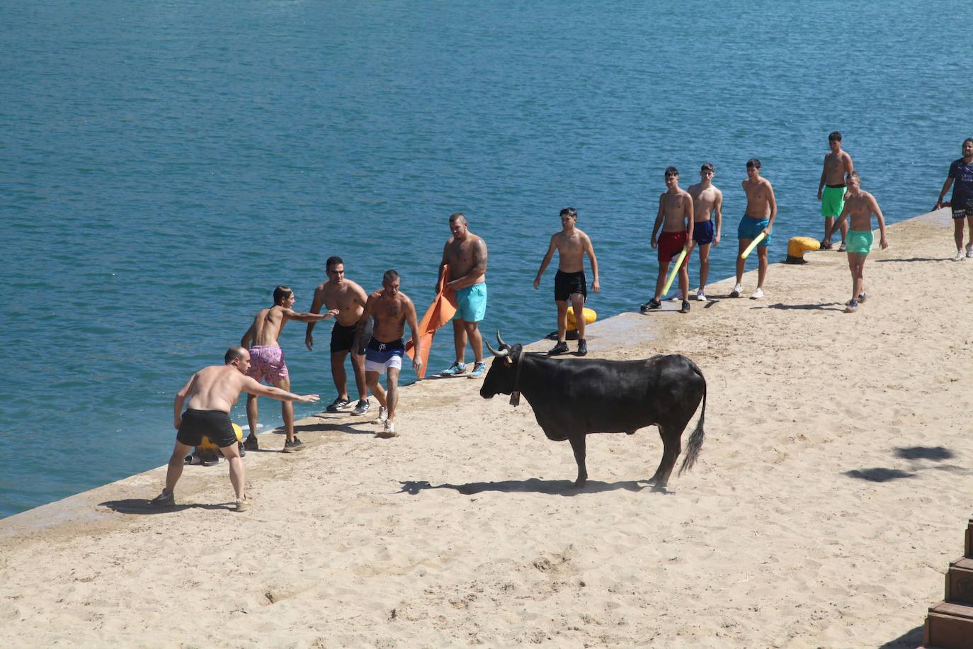 Primer día de Baret y Bous a la Mar en Xàbia