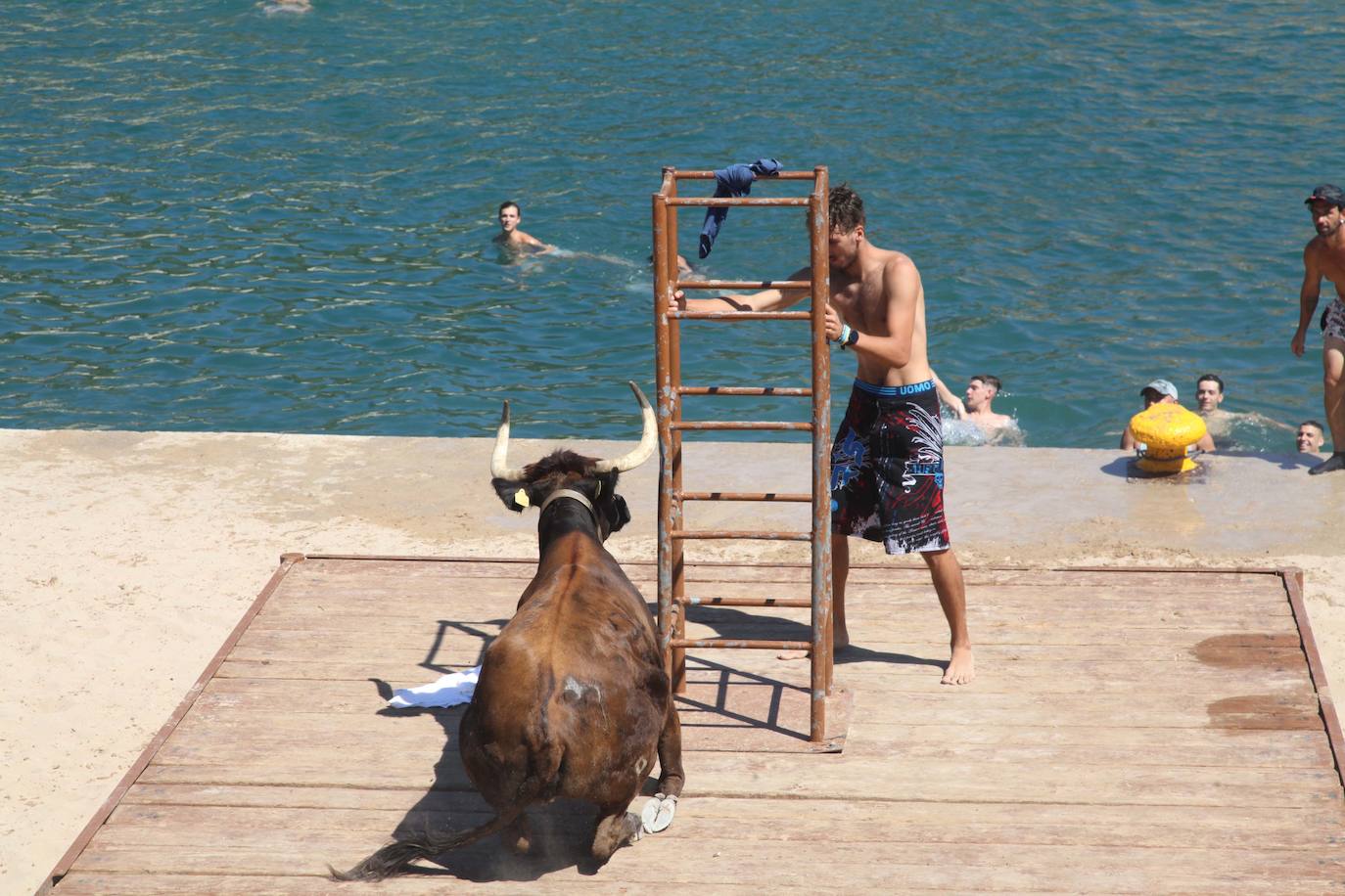 Primer día de Baret y Bous a la Mar en Xàbia